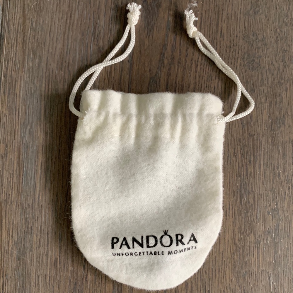 NWOT- Pandora Charm - Picture 2 of 4